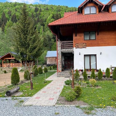 Pensiunea Pietrosul Rodnei Моисей Екстериор снимка