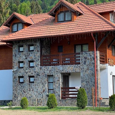 Pensiunea Pietrosul Rodnei Моисей Екстериор снимка
